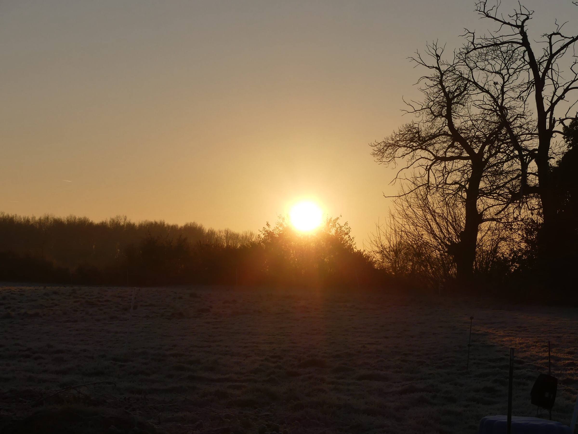 Coucher de soleil sur les prés de l'élevage, en Anjou